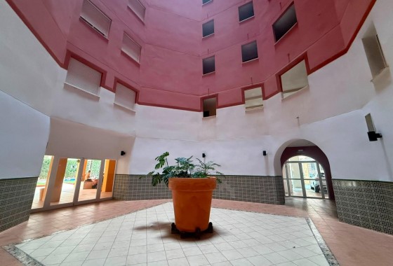 Revente - Appartement - Torrevieja - Playa de los Locos