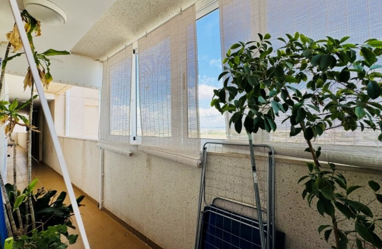 Revente - Appartement - Torrevieja - Costa Blanca