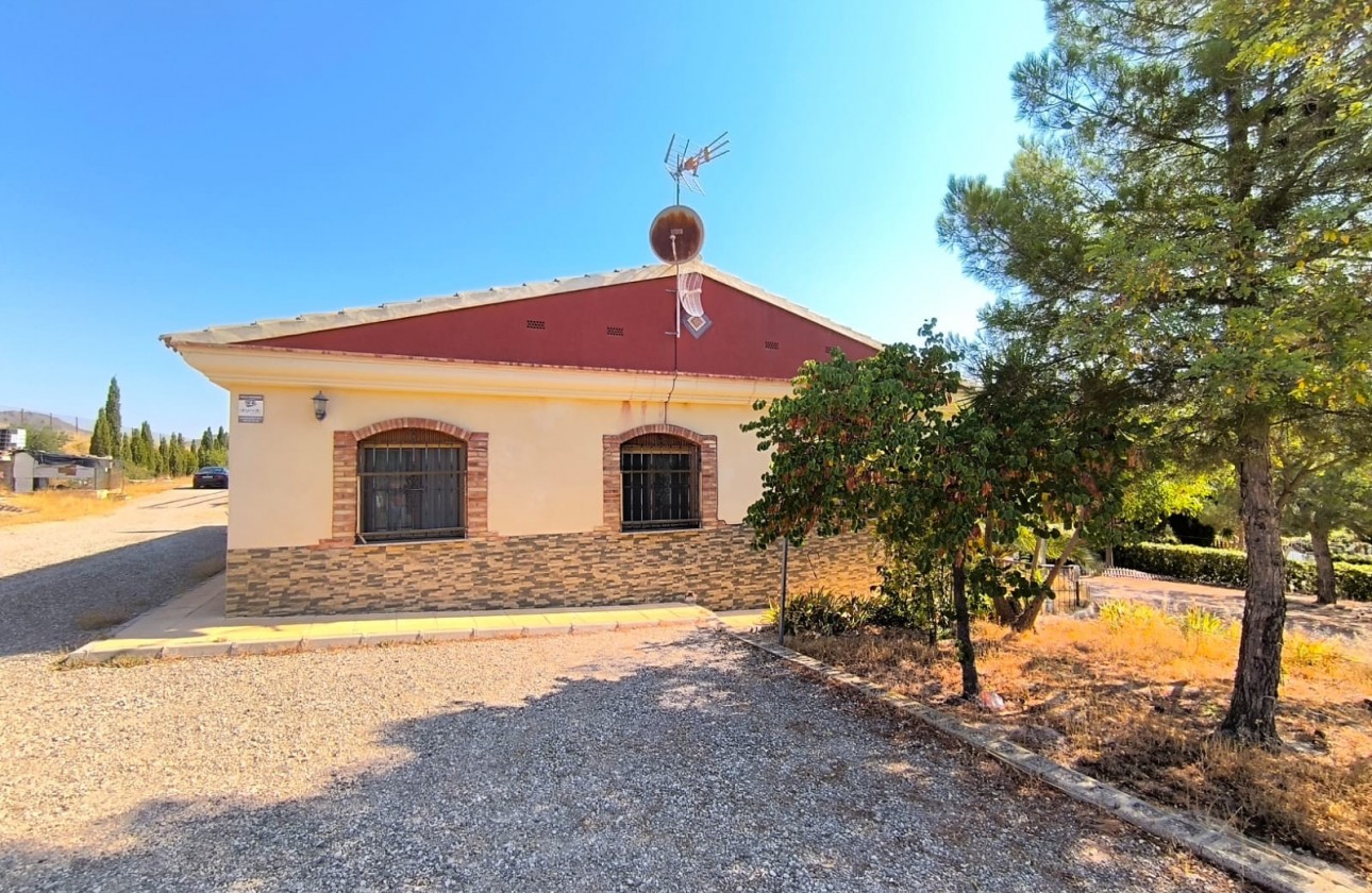 Reventa - Chalet - Jumilla - Inland