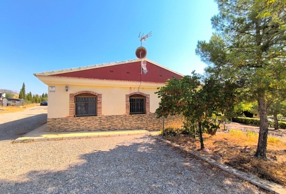 Reventa - Chalet - Jumilla - Inland