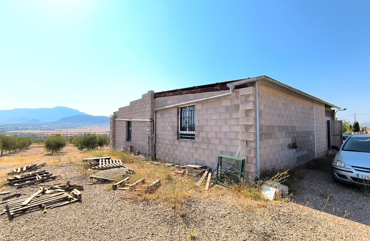 Reventa - Chalet - Jumilla - Inland