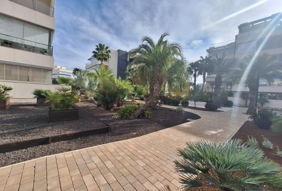 Reventa - Apartamento / piso - Orihuela Costa - Los Dolses