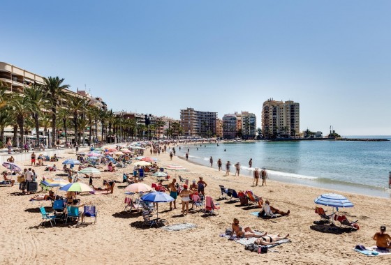 Resale - Apartment / flat - Torrevieja - Playa de los Locos