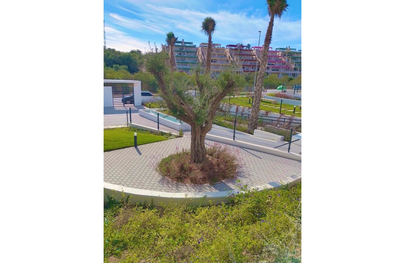 Revente - Appartement - Orihuela - Inland