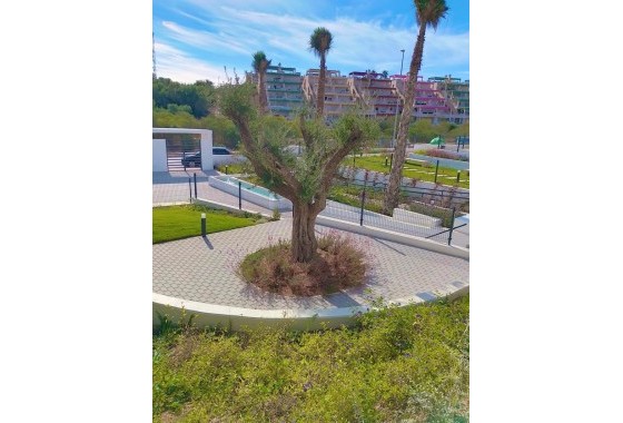 Revente - Appartement - Orihuela - Inland