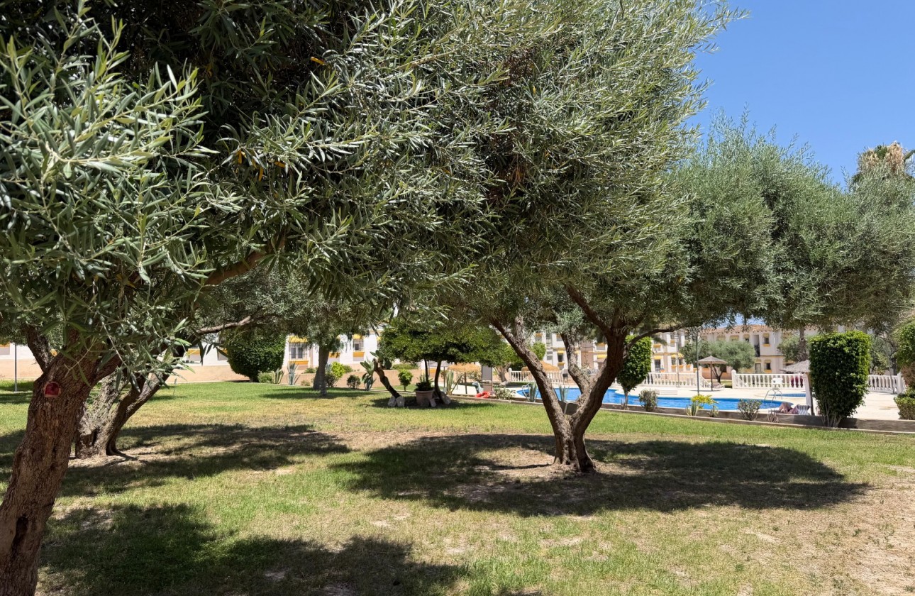 Reventa - Apartamento / piso - Orihuela Costa - Costa Blanca
