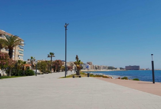 Resale - Apartment / flat - Torrevieja - Curva del Palangre