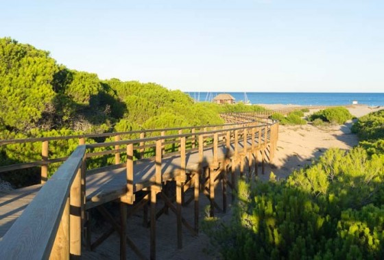 Resale - Apartment / flat - Santa Pola - Costa Blanca