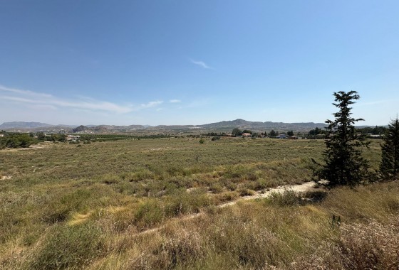 Revente - Villa - Cañadas de San Pedro - Inland