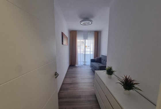Reventa - Apartamento / piso - Torrevieja - Estacion de autobuses
