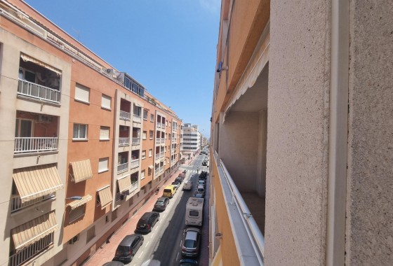 Reventa - Apartamento / piso - Torrevieja - Estacion de autobuses