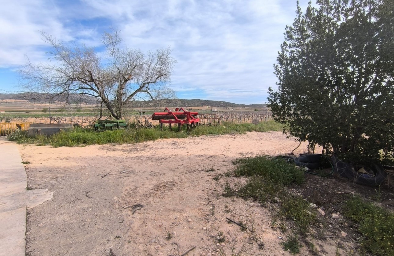 Reventa - Property - Yecla - Inland