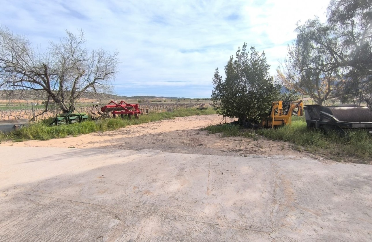 Reventa - Property - Yecla - Inland
