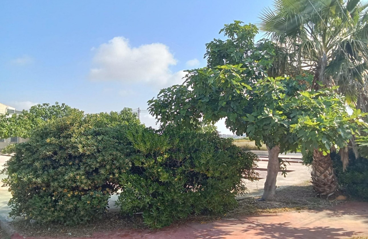 Revente - Bungalow - Torrevieja - Torretas