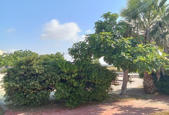 Revente - Bungalow - Torrevieja - Torretas