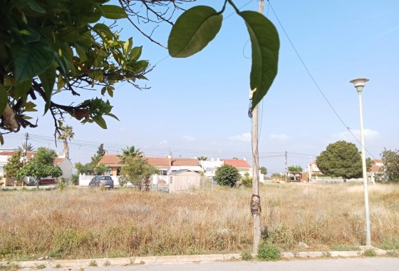 Revente - Bungalow - Torrevieja - Torretas