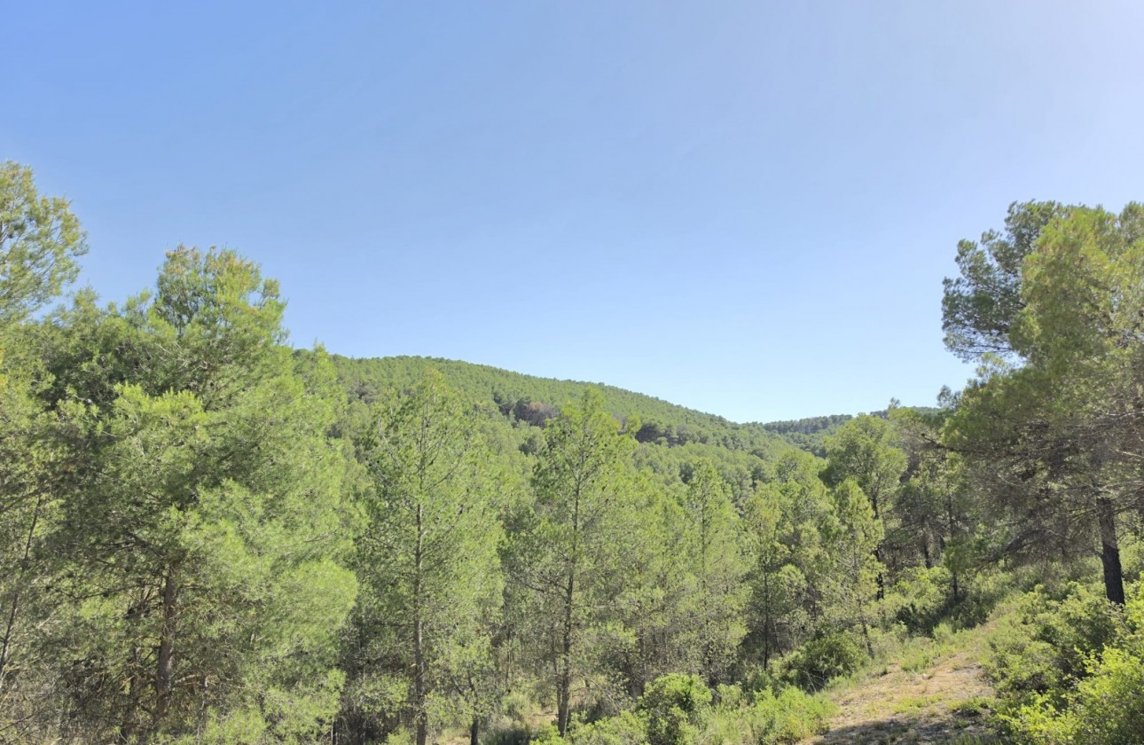 Resale - Property - Villena - Inland