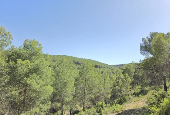 Resale - Property - Villena - Inland