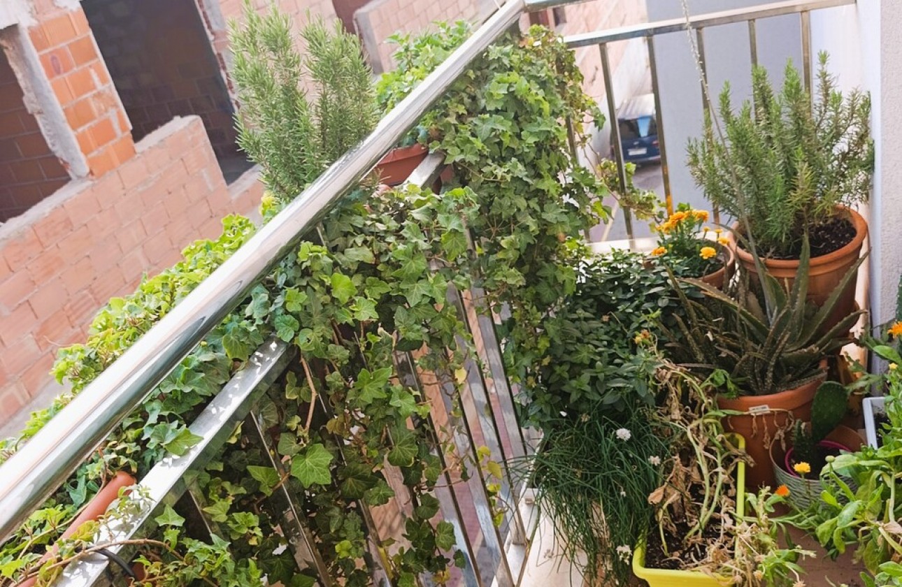 Reventa - Apartamento / piso - La Union - Inland