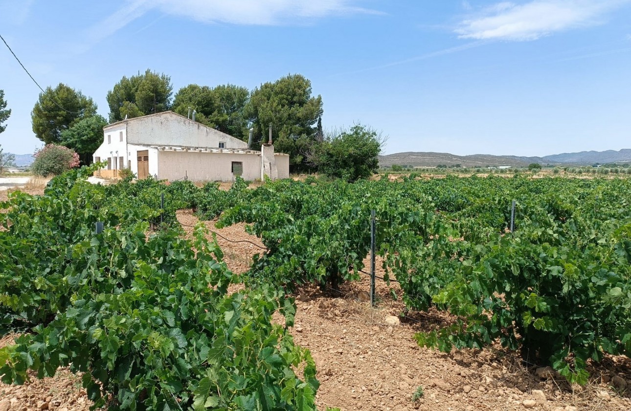 Revente - Property - Yecla - Inland