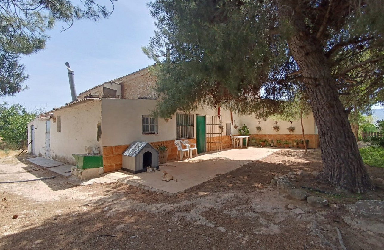 Revente - Property - Yecla - Inland