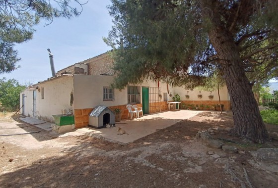 Revente - Property - Yecla - Inland