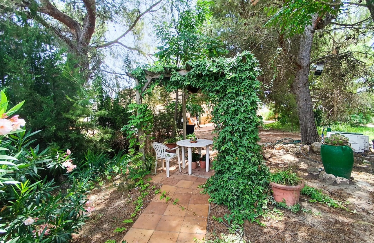 Revente - Property - Yecla - Inland