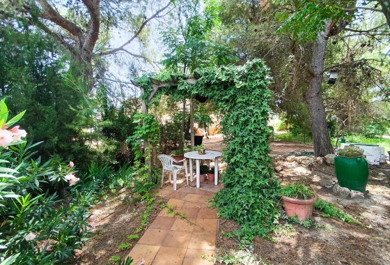 Revente - Property - Yecla - Inland