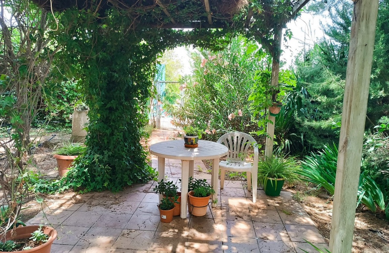 Revente - Property - Yecla - Inland