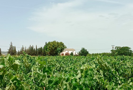 Revente - Property - Yecla - Inland