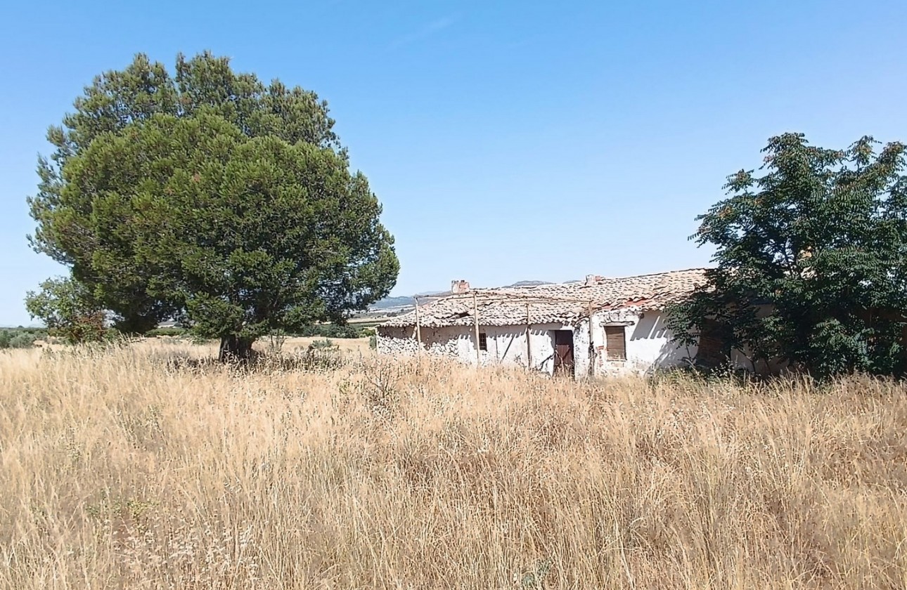 Reventa - Other - Yecla - Inland