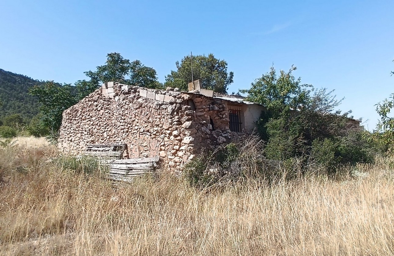 Reventa - Other - Yecla - Inland