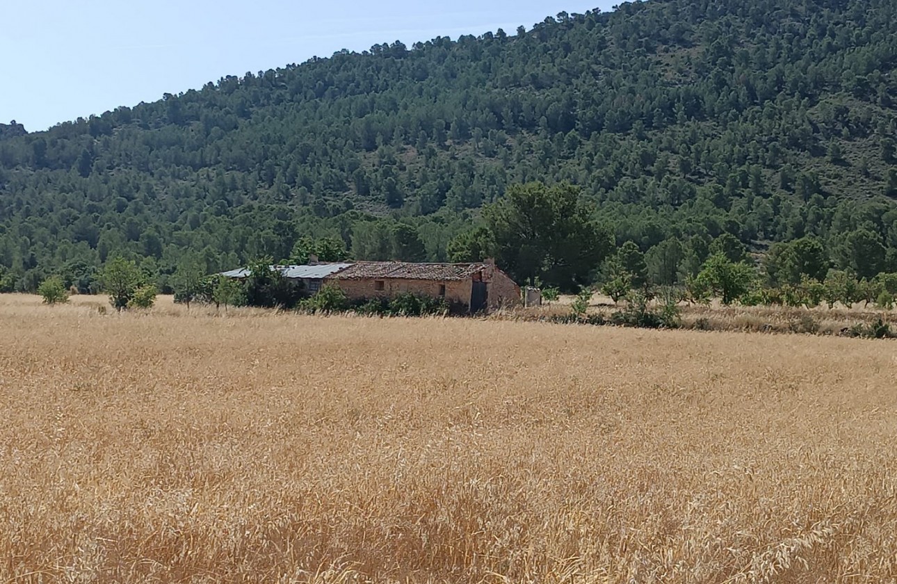 Reventa - Other - Yecla - Inland