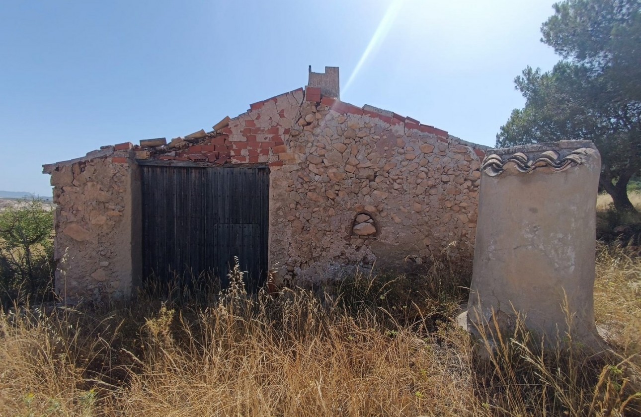 Reventa - Other - Yecla - Inland