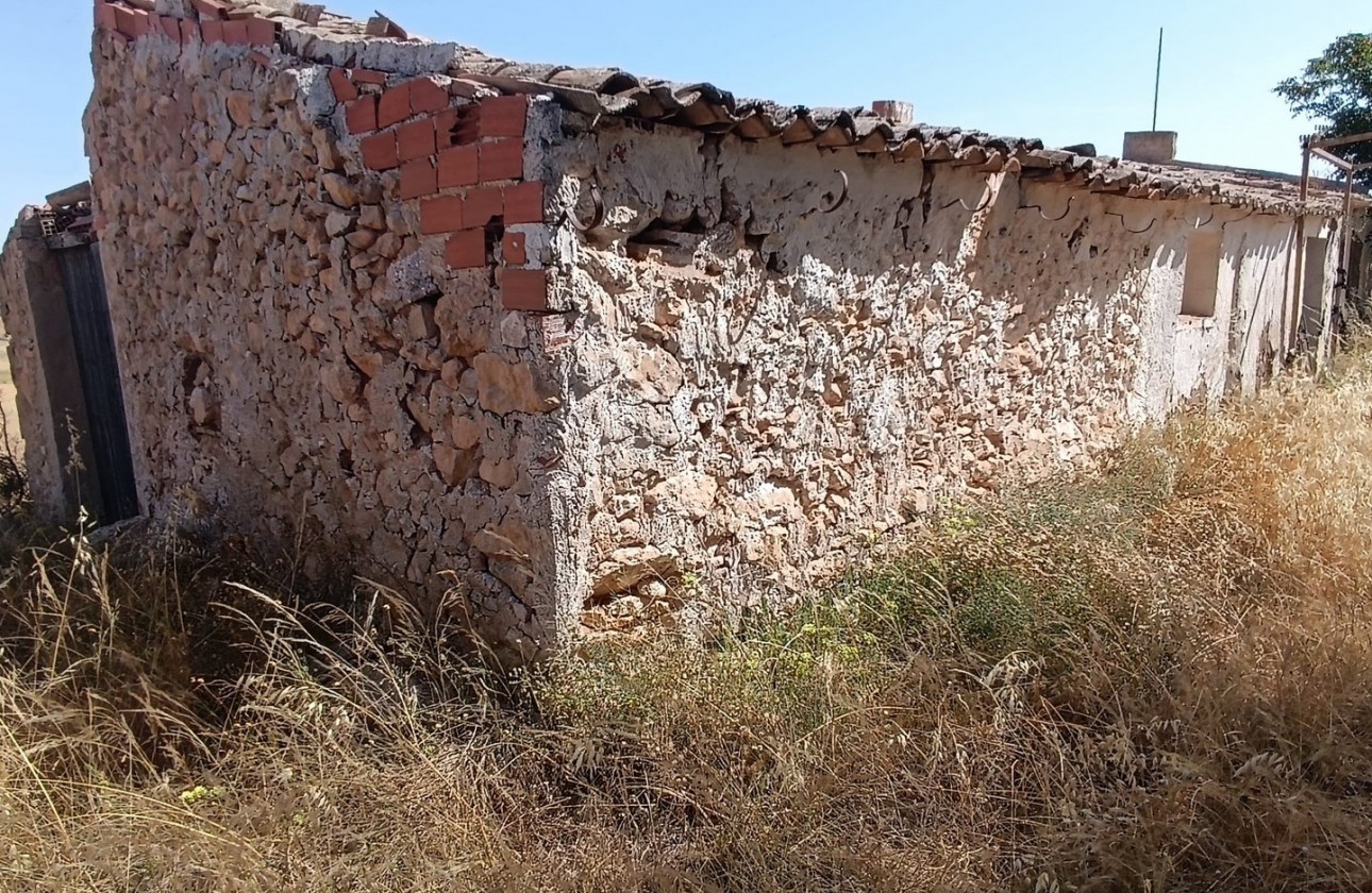 Reventa - Other - Yecla - Inland