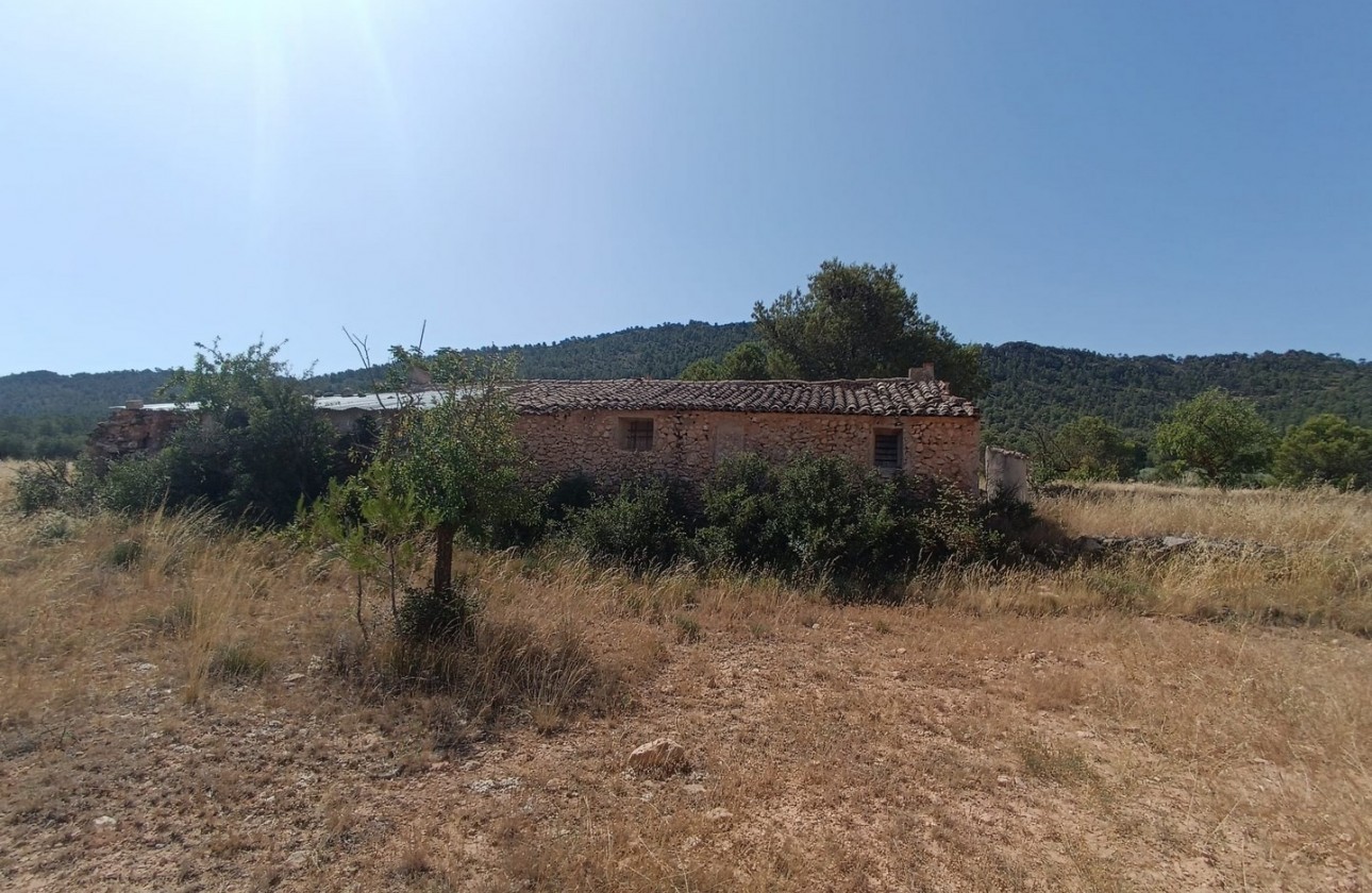 Reventa - Other - Yecla - Inland