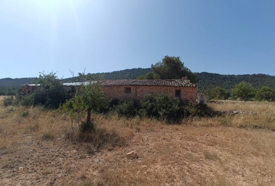 Reventa - Other - Yecla - Inland