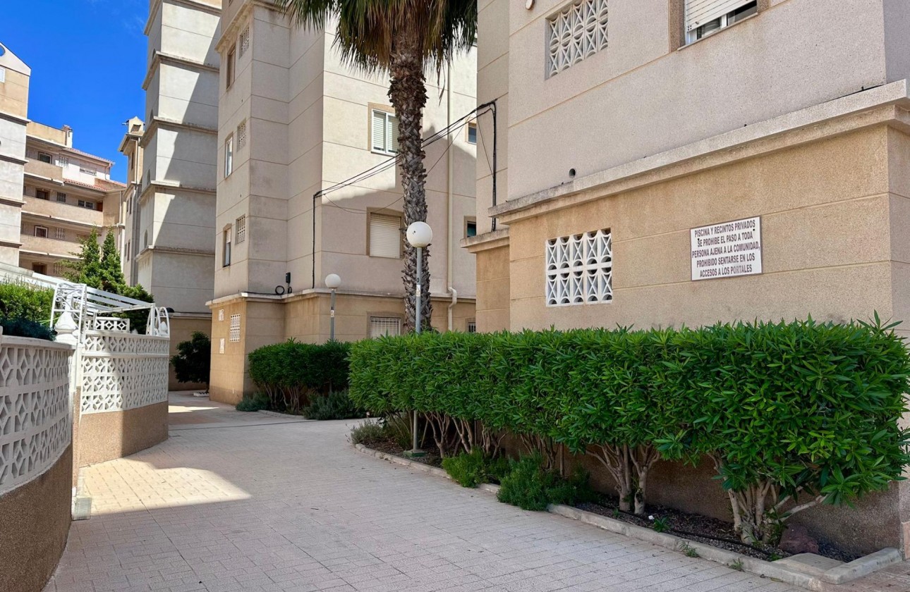 Reventa - Apartamento / piso - Torrevieja - Habaneras