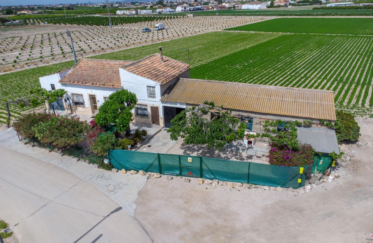 Reventa - Finca - Orihuela - Desamparados-hurchillo-torremendo