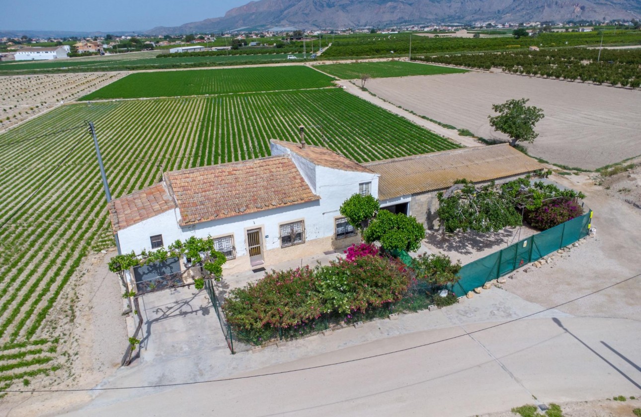 Reventa - Finca - Orihuela - Desamparados-hurchillo-torremendo