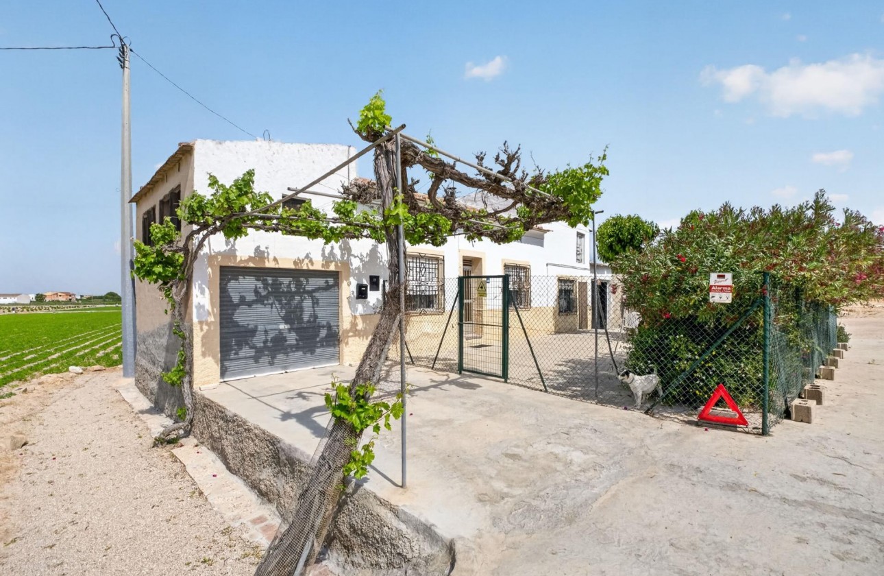 Reventa - Finca - Orihuela - Desamparados-hurchillo-torremendo