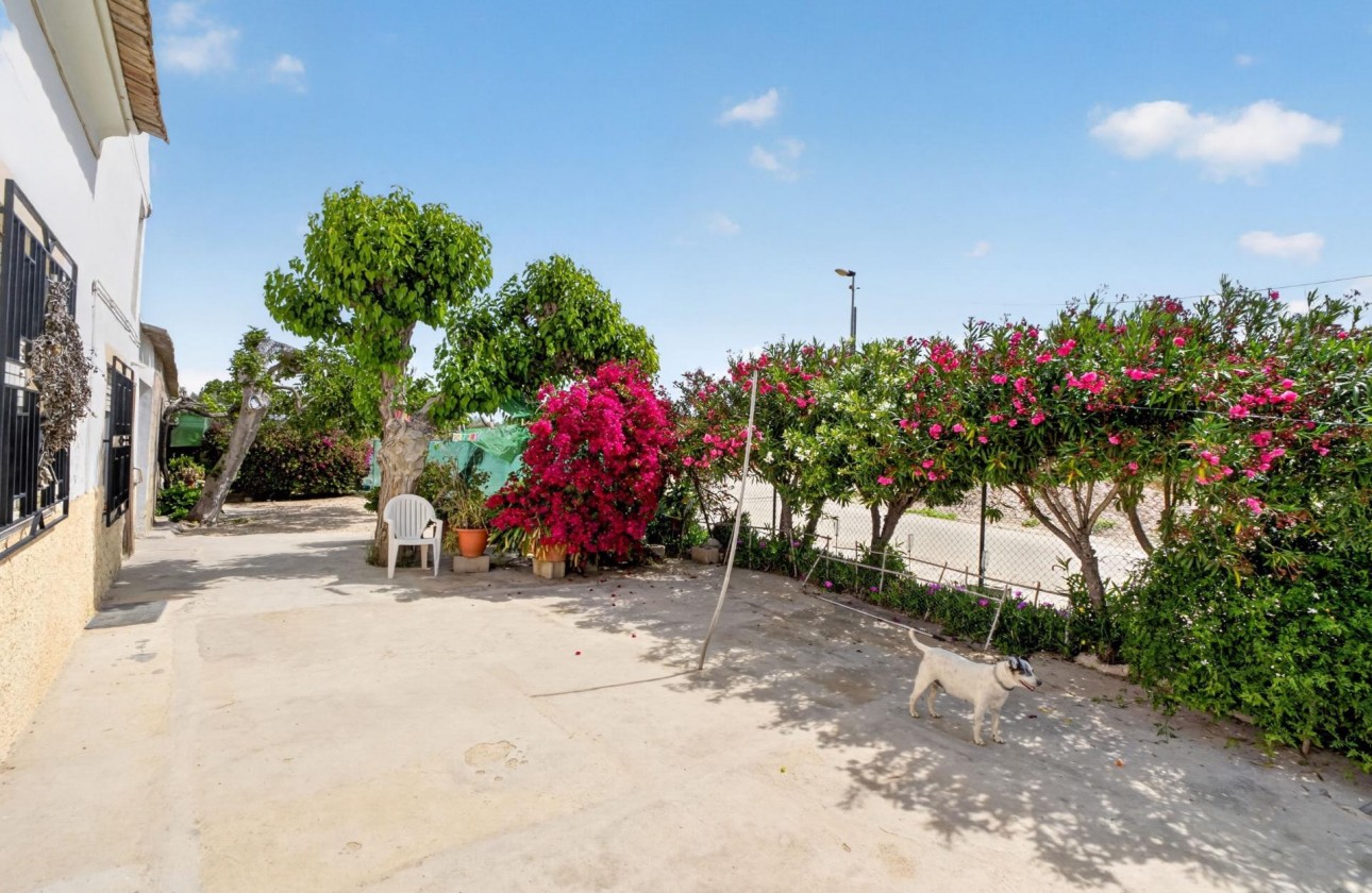 Reventa - Finca - Orihuela - Desamparados-hurchillo-torremendo