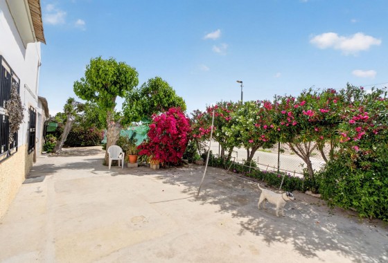 Reventa - Finca - Orihuela - Desamparados-hurchillo-torremendo