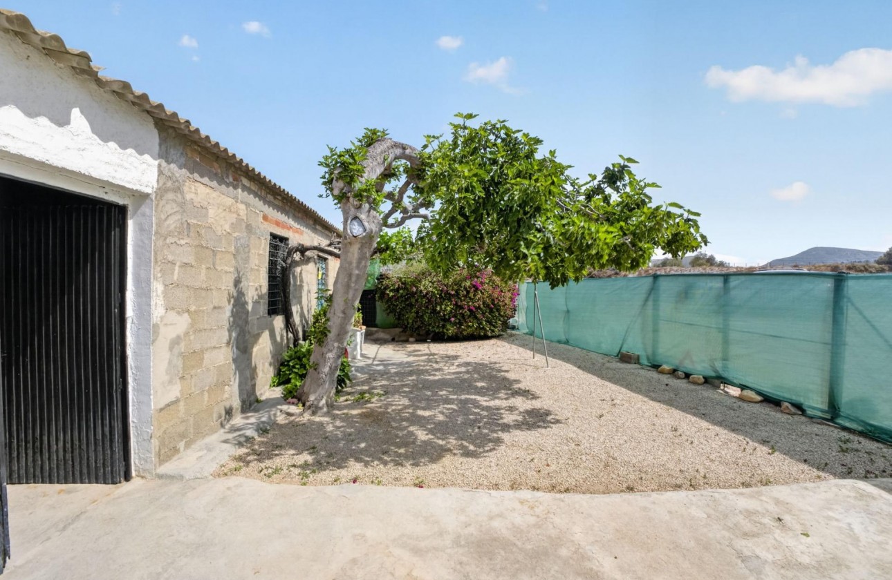 Reventa - Finca - Orihuela - Desamparados-hurchillo-torremendo