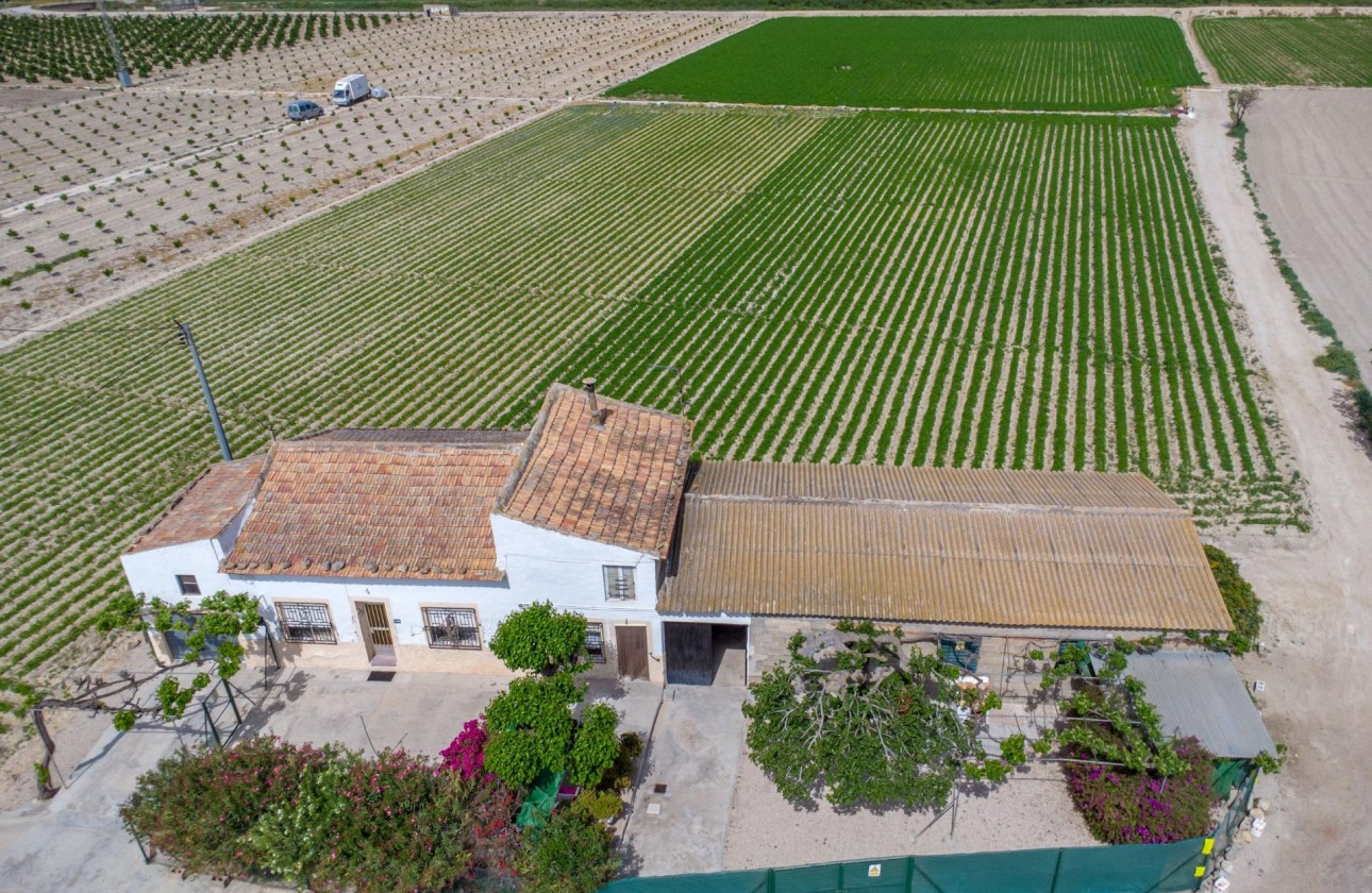 Reventa - Finca - Orihuela - Desamparados-hurchillo-torremendo