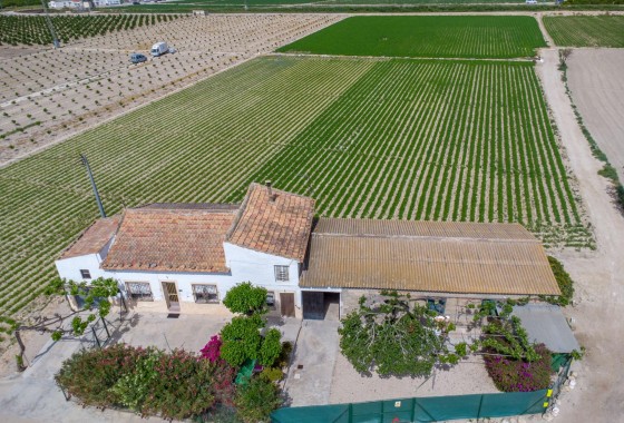 Reventa - Finca - Orihuela - Desamparados-hurchillo-torremendo