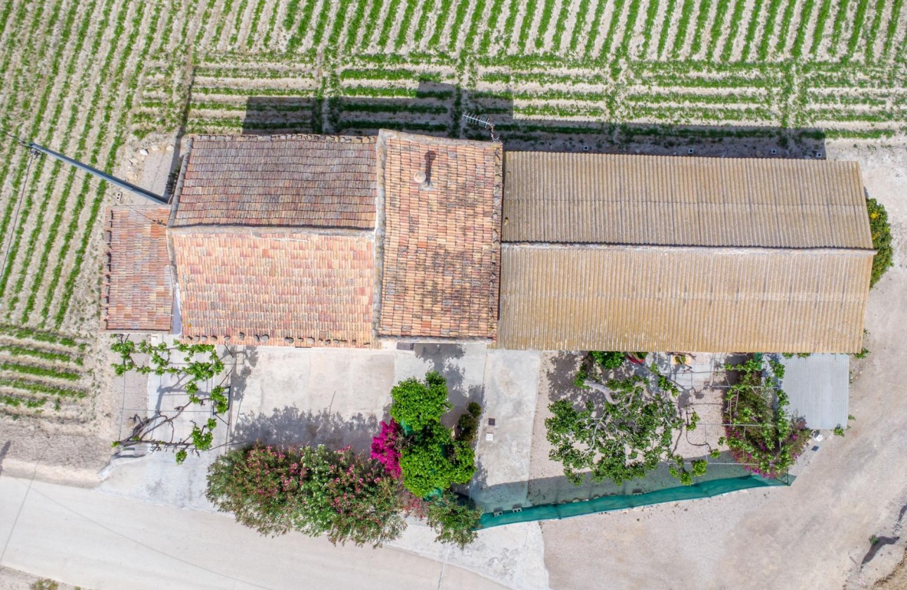 Reventa - Finca - Orihuela - Desamparados-hurchillo-torremendo