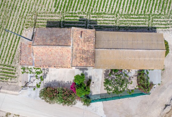 Reventa - Finca - Orihuela - Desamparados-hurchillo-torremendo