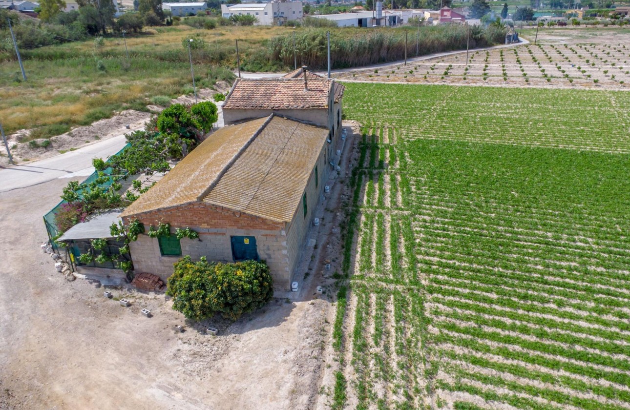 Reventa - Finca - Orihuela - Desamparados-hurchillo-torremendo