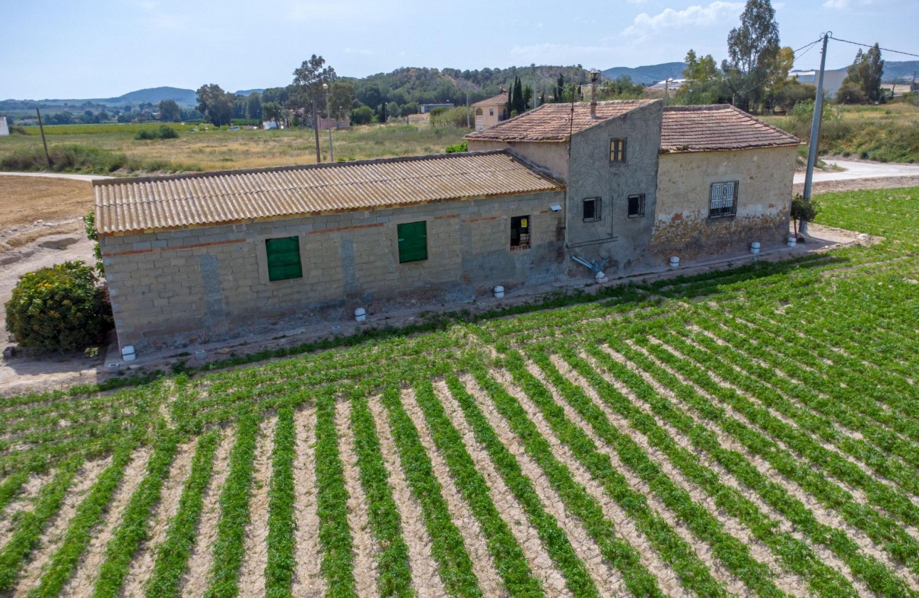 Reventa - Finca - Orihuela - Desamparados-hurchillo-torremendo